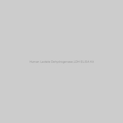 Human Lactate Dehydrogenase,LDH ELISA Kit
